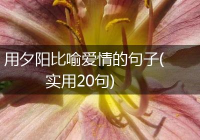 用夕阳比喻爱情的句子(实用20句)