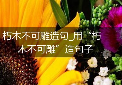朽木不可雕造句_用“朽木不可雕”造句子