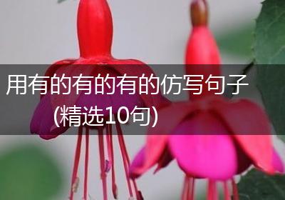 用有的有的有的仿写句子(精选10句)