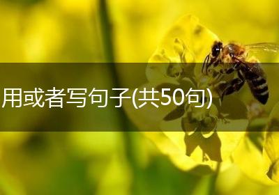 用或者写句子(共50句)