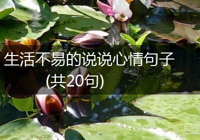 生活不易的说说心情句子(共20句)
