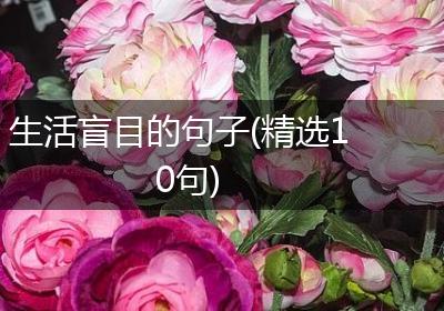 生活盲目的句子(精选10句)