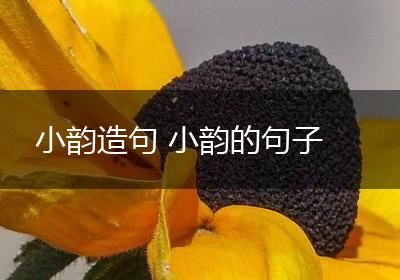 小韵造句 小韵的句子
