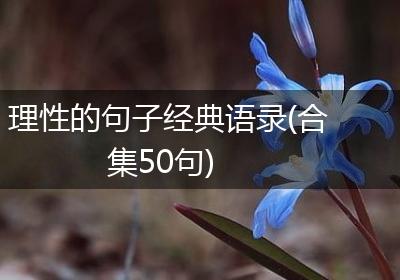 理性的句子经典语录(合集50句)
