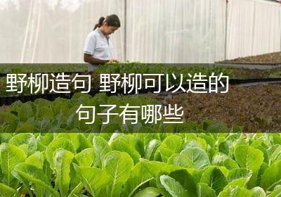 野柳造句 野柳可以造的句子有哪些
