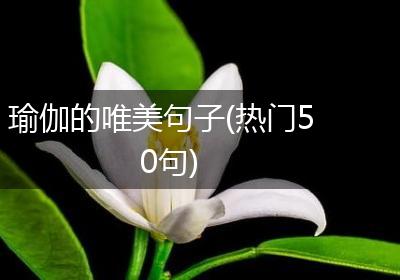 瑜伽的唯美句子(热门50句)