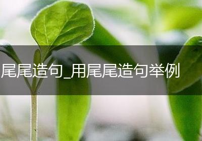 尾尾造句_用尾尾造句举例
