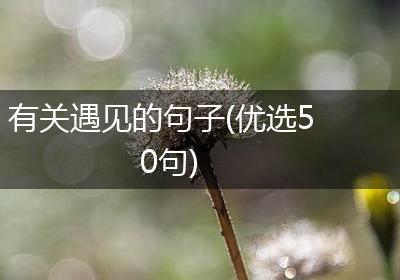 有关遇见的句子(优选50句)