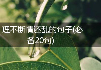 理不断情还乱的句子(必备20句)