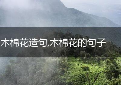 木棉花造句,木棉花的句子