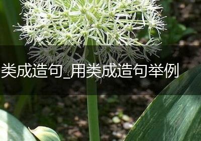 类成造句_用类成造句举例