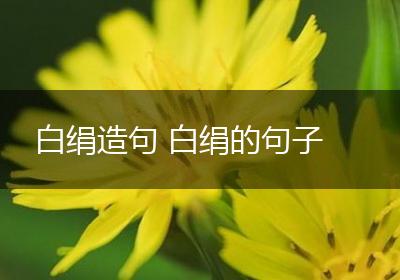 白绢造句 白绢的句子
