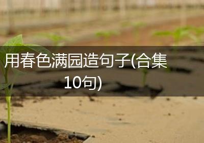 用春色满园造句子(合集10句)