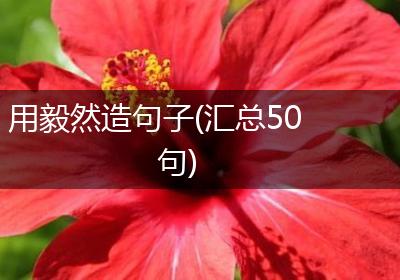 用毅然造句子(汇总50句)