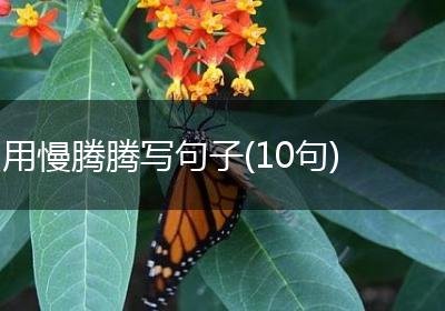 用慢腾腾写句子(10句)