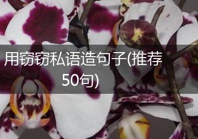 用窃窃私语造句子(推荐50句)