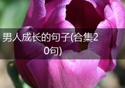 男人成长的句子(合集20句)
