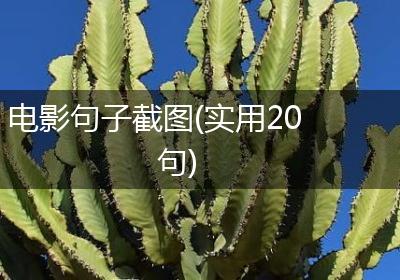 电影句子截图(实用20句)