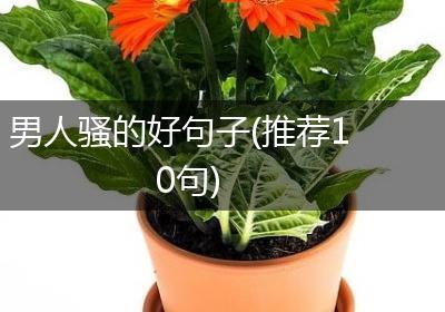 男人骚的好句子(推荐10句)