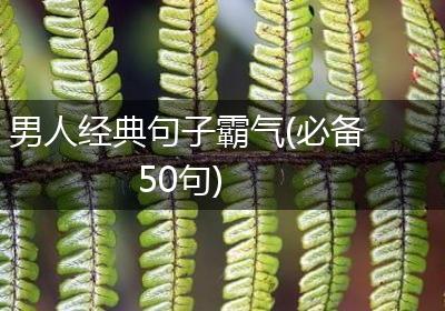 男人经典句子霸气(必备50句)