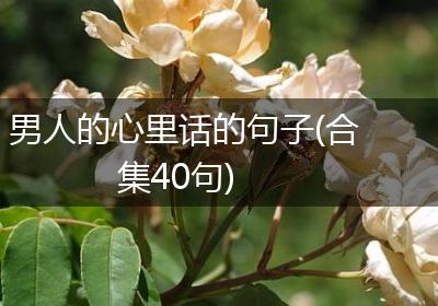 男人的心里话的句子(合集40句)