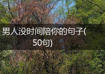 男人没时间陪你的句子(50句)