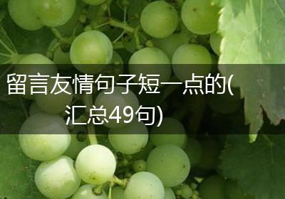 留言友情句子短一点的(汇总49句)