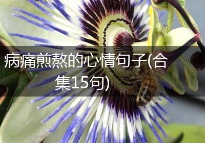 病痛煎熬的心情句子(合集15句)