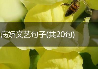 病娇文艺句子(共20句)