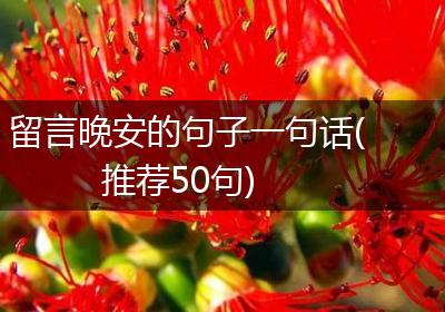 留言晚安的句子一句话(推荐50句)