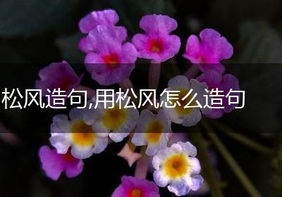 松风造句,用松风怎么造句