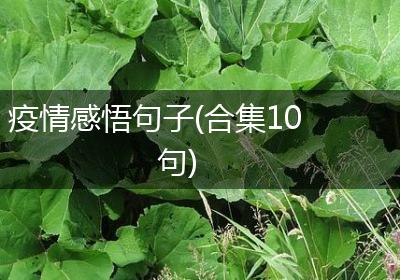 疫情感悟句子(合集10句)
