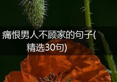 痛恨男人不顾家的句子(精选30句)