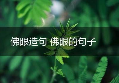 佛眼造句 佛眼的句子