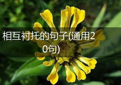 相互衬托的句子(通用20句)