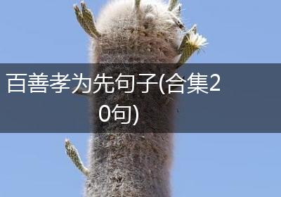 百善孝为先句子(合集20句)