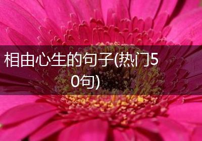 相由心生的句子(热门50句)