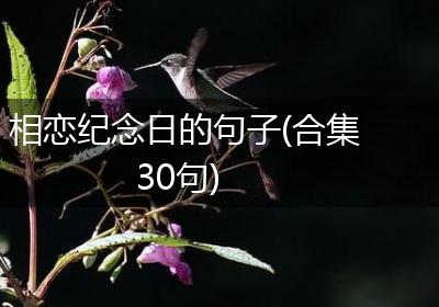 相恋纪念日的句子(合集30句)