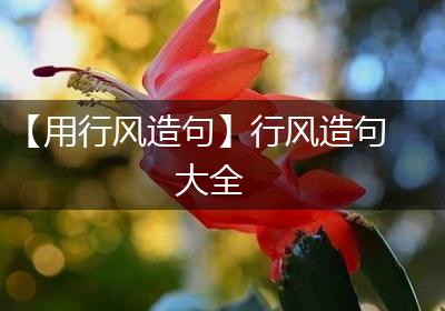 【用行风造句】行风造句大全