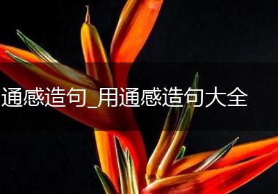 通感造句_用通感造句大全