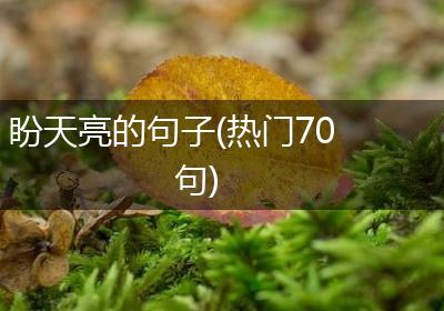 盼天亮的句子(热门70句)