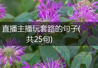 直播主播玩套路的句子(共25句)
