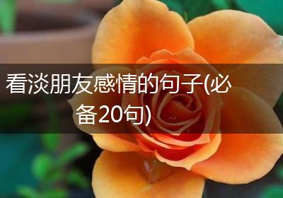 看淡朋友感情的句子(必备20句)