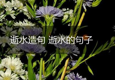 逝水造句 逝水的句子