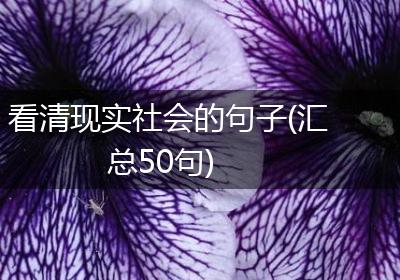 看清现实社会的句子(汇总50句)