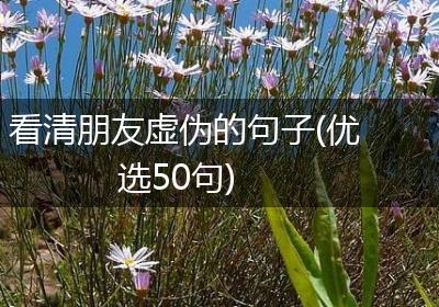 看清朋友虚伪的句子(优选50句)