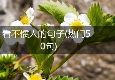 看不惯人的句子(热门50句)