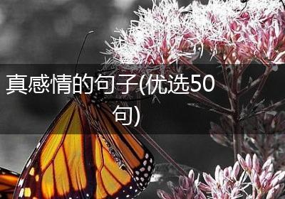 真感情的句子(优选50句)