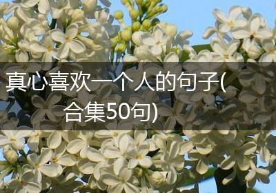 真心喜欢一个人的句子(合集50句)