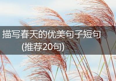 描写春天的优美句子短句(推荐20句)